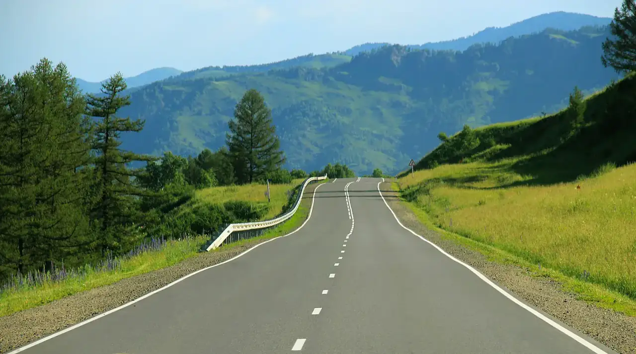 阳光穿过树木照在道路上